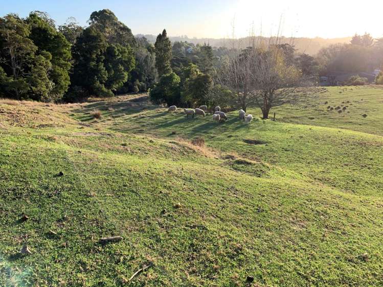 29 Warman Road Okura_10