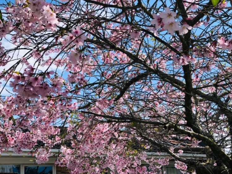 2/6 Wykeham Place Glenfield_23