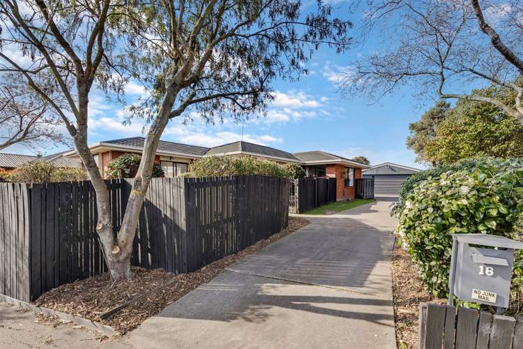 18 Lowry Avenue Redwood_21