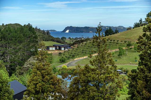 35 Spikes Way Whitianga_2