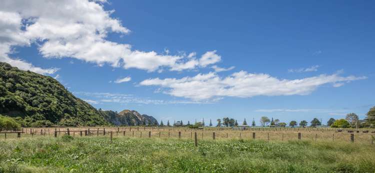 1 Forster Street Tolaga Bay_25