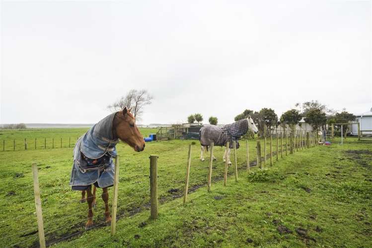 390 Beamish Road Bulls_6