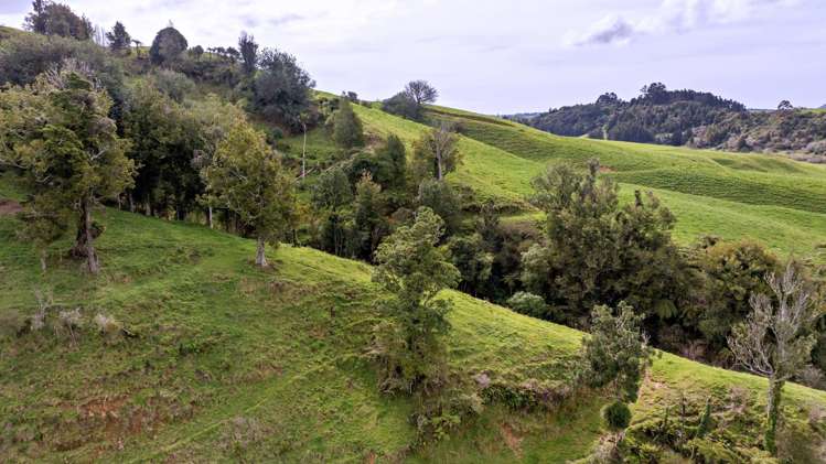 636 Otara Road Opotiki_18