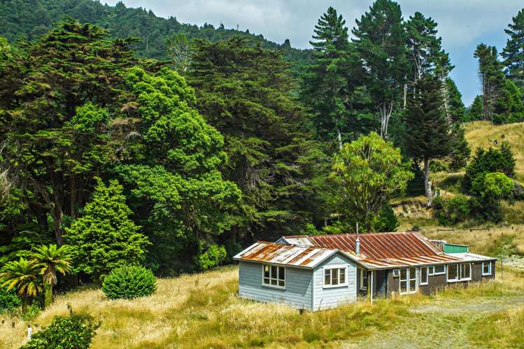 Raysburn, State Highway 2 Opotiki Surrounds_4