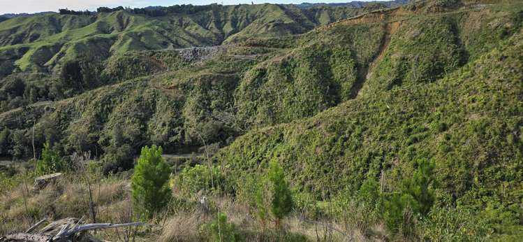 Junction Road Stratford_12