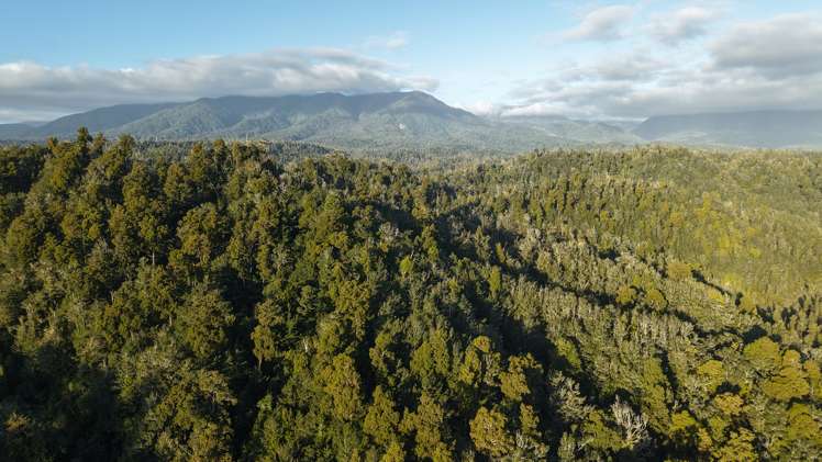 LOT 1 Granite Creek Road Karamea_14