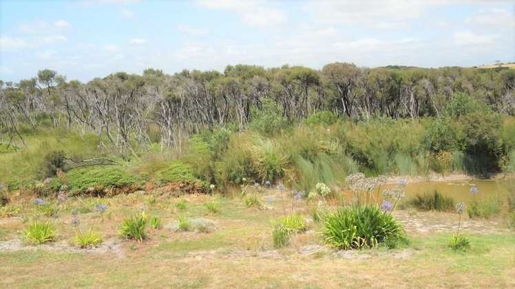 92 Atkin Road Mangawhai_3