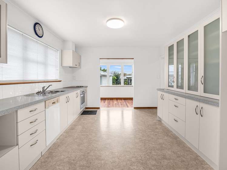 3 Roosevelt Street Levin_3