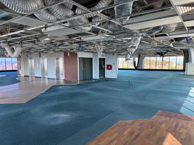 12th floor/85 Alexandra Street Hamilton Central_3