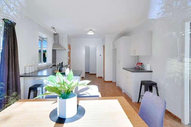 30 Kowhai Street Hamilton Lake_2