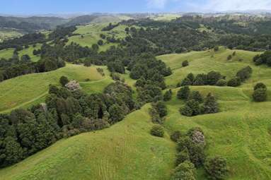 Lot 2/347 Porter Road_3