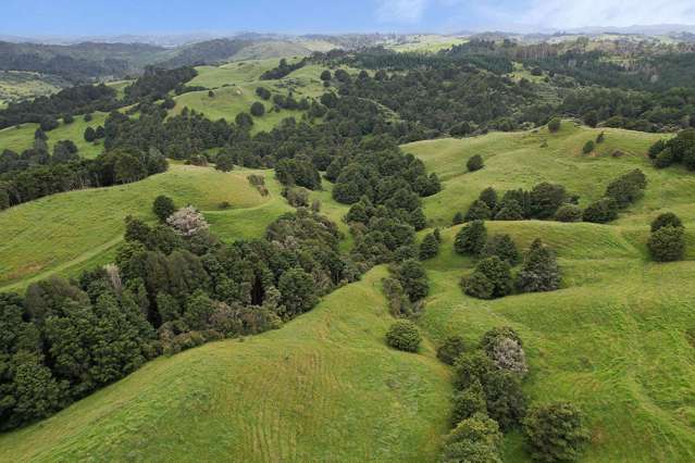 Lot 2/347 Porter Road Paparoa_3