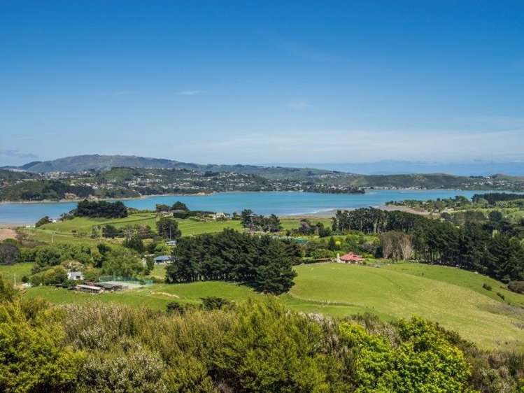 39c Jones Deviation Pauatahanui_18