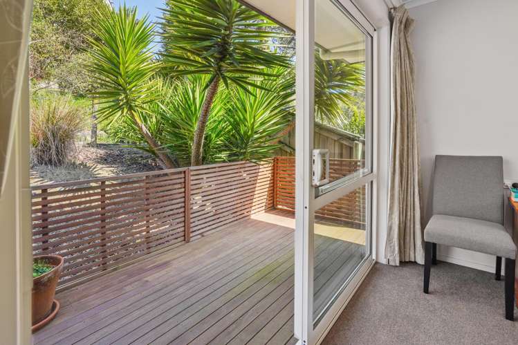 12 Saddleback Road Todds Valley_15