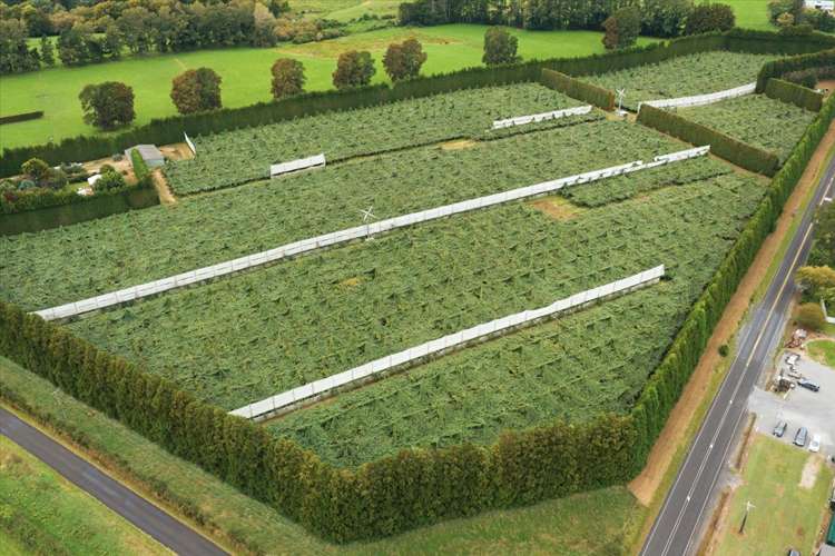 79 Woodlands Road Waihi Beach_25