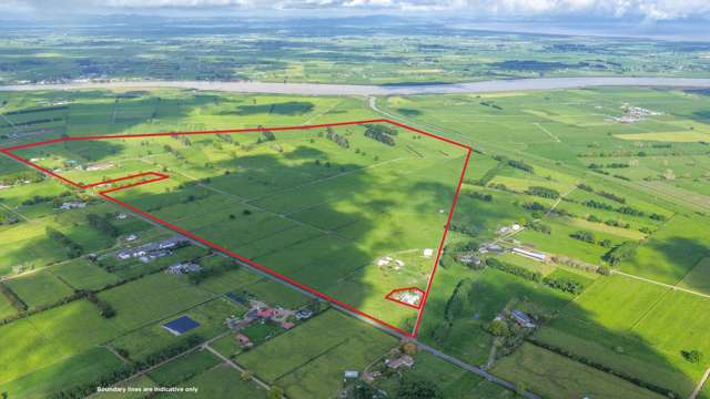 Smart farming investment - Efficiency & scale