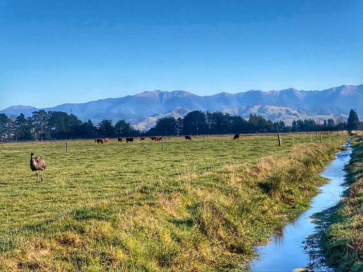 535 Perrys Road Carterton_18