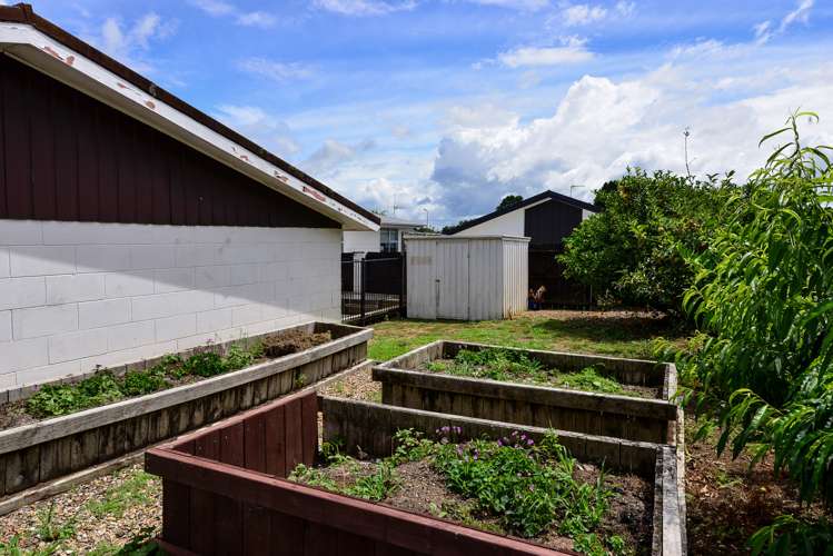 26 Hyde Avenue Nawton_9