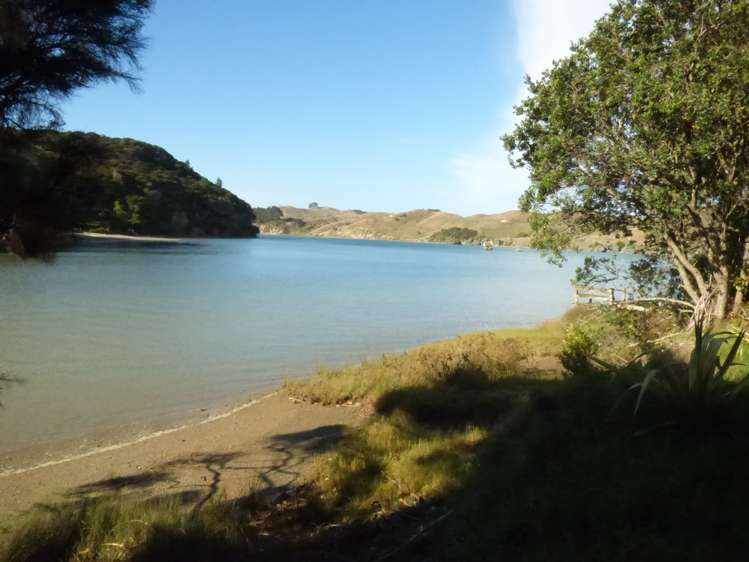 6 Ryan Road Te Akau_16