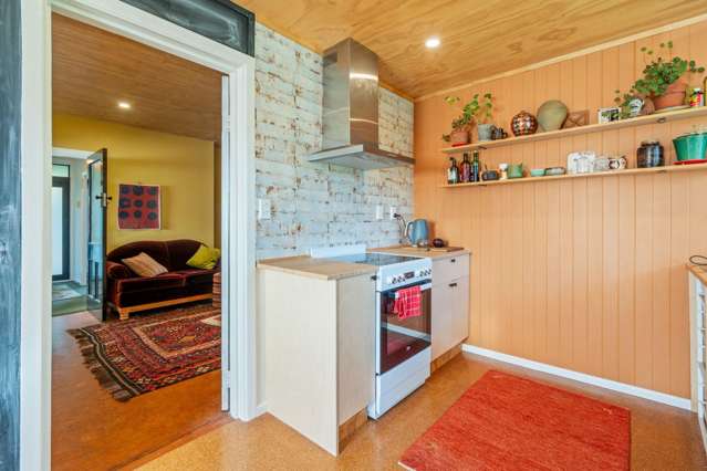 166 Bay View Road South Dunedin_1