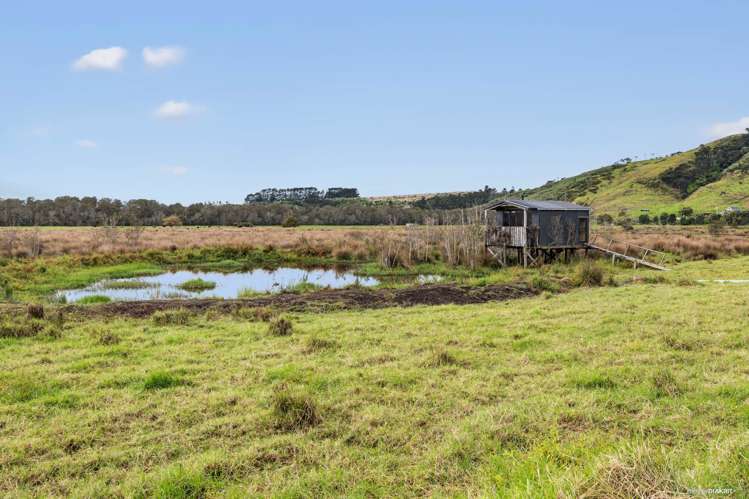 1469 Tuakau Bridge-Port Waikato Road Tuakau_15