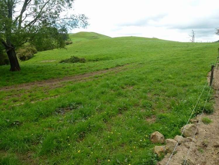 1265 Mountain Road Inglewood_6