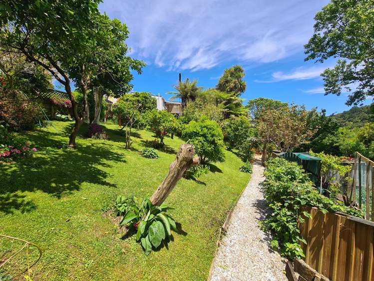 1225 Rings Road Coromandel_11