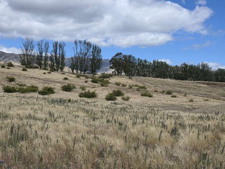 Lot 6 Northburn Heights Northburn_5