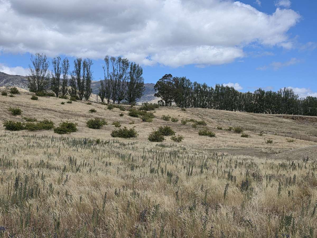 Lot 6 Northburn Heights_1