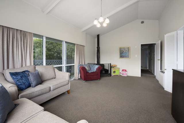 188 California Drive Totara Park_1