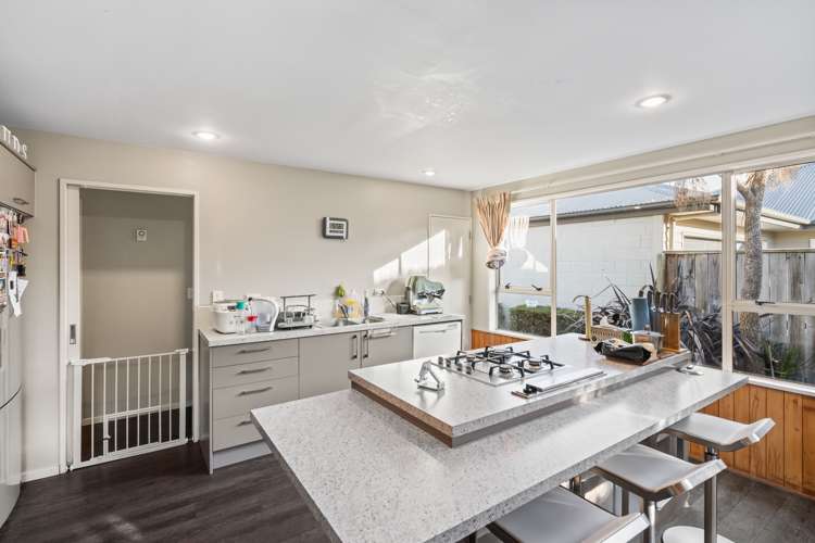 17 Sumner Street Spreydon_5