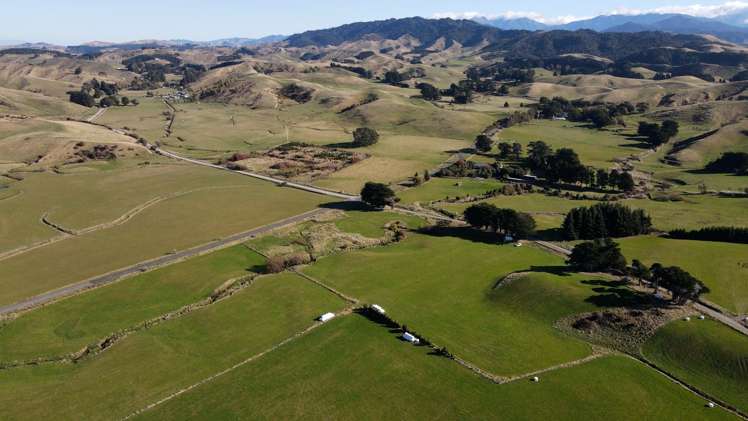 1 Hall Road Ngongotaha_9