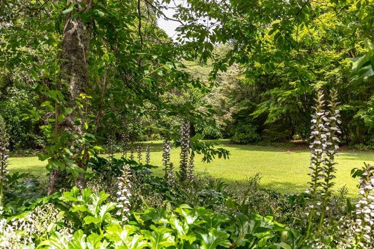 7 Homestead Lane Greytown_33