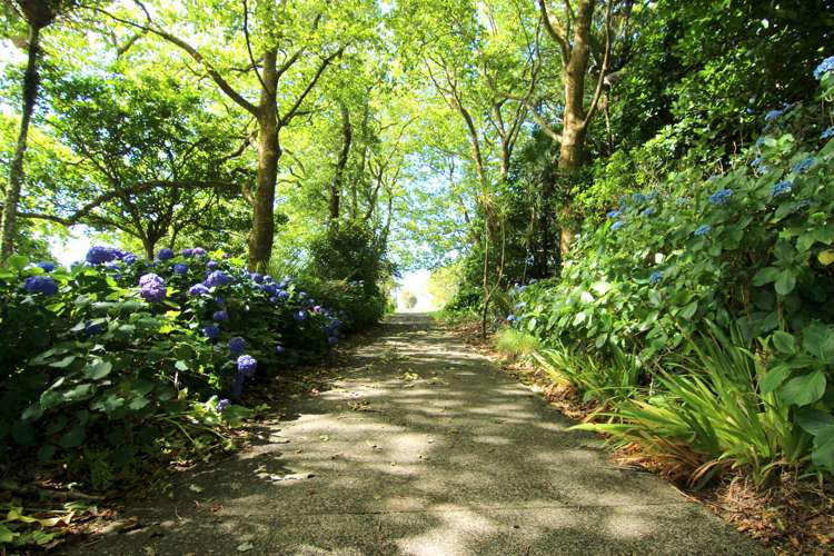 425 Murray Road Pukekawa_11