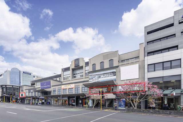 Investment + owner occupier options