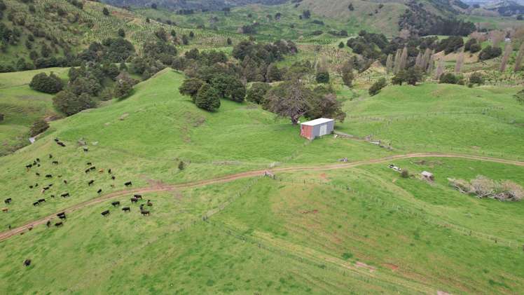 1896 Omana Road Pukehuia_6
