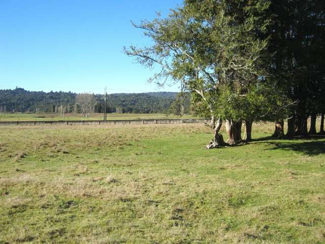 Kawautahi Road Owhango_2