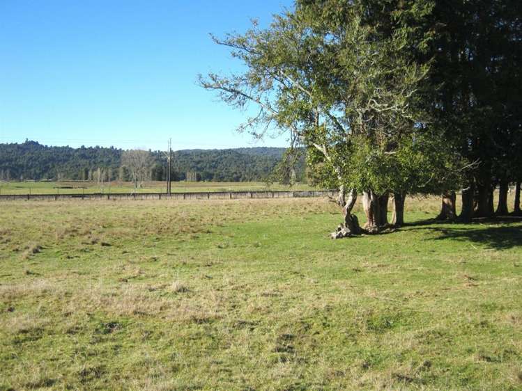 Kawautahi Road Owhango_2