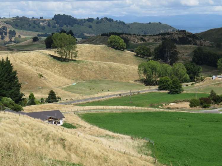 999 Mapara Road Kinloch_4