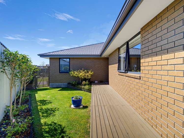 20C Brookvale Road Havelock North_28