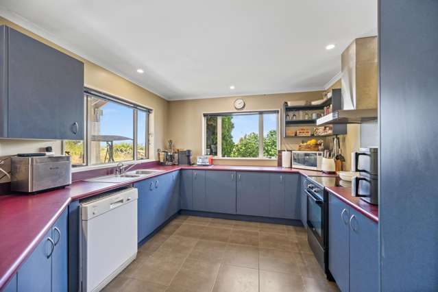 1981 Omakau-Chatto Creek Road Alexandra_3