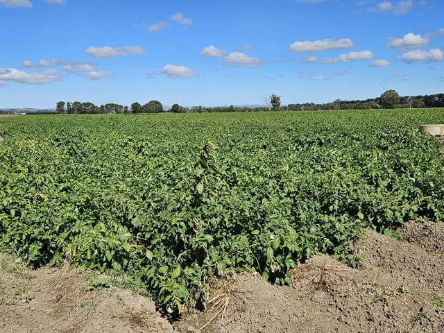 458 Wakarara Road Ongaonga_2