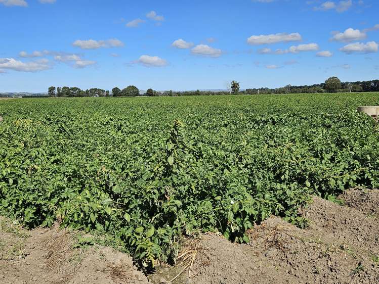 458 Wakarara Road Ongaonga_2