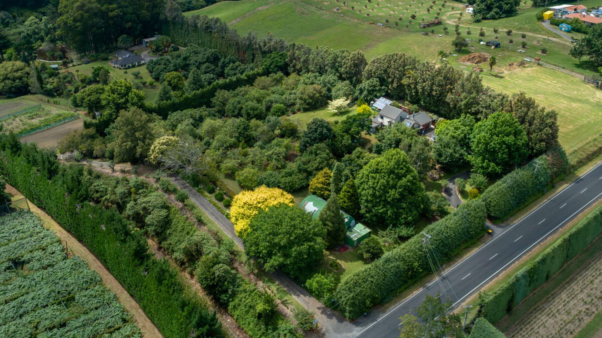 226 Snodgrass Road Te Puna_0