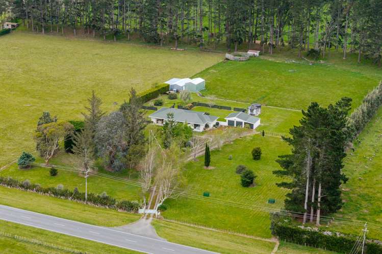 355 Rangiotu Road Himatangi_20