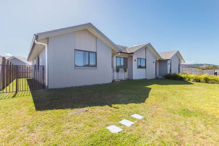 15 Kereruu Street Cambridge_18