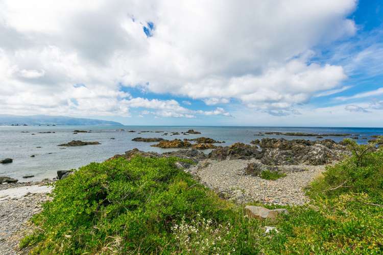 146 Owhiro Bay Parade Owhiro Bay_16