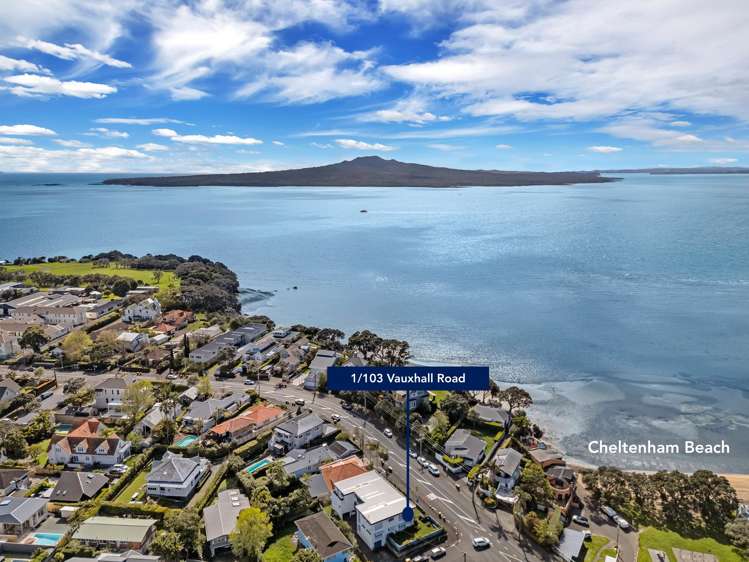 1/103 Vauxhall Road Narrow Neck_13