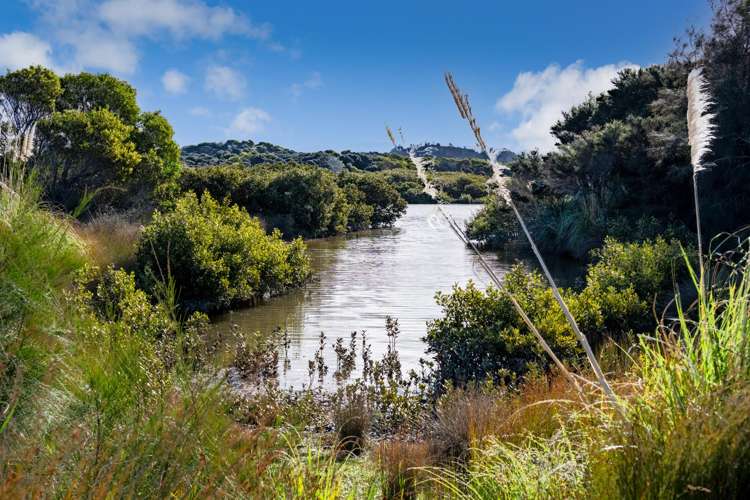 12 Ivy Lane Mangawhai Heads_24