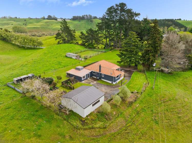 123 Hereford Park Road Pukehina_30